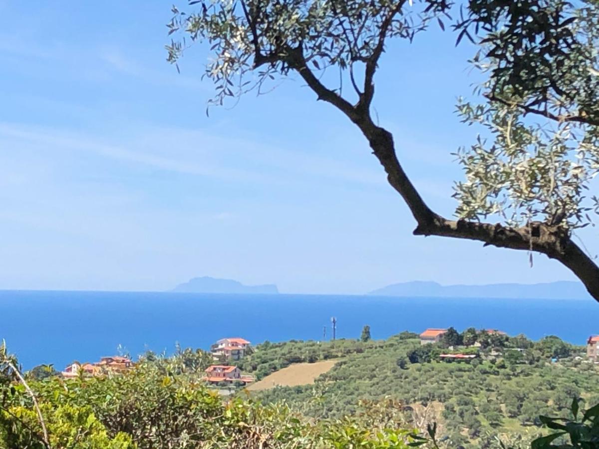 Bed and Breakfast Dolce Basilico Agropoli Exterior foto